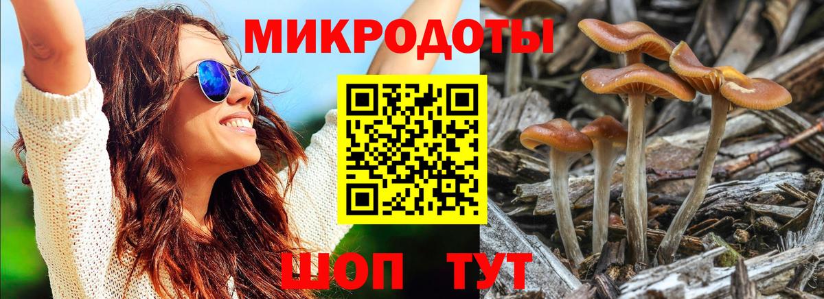 Псилоцибиновые грибы мухоморы  Псилоцибиновые грибы Magic Shrooms  Курганинск  где купить   Вход с VPN 